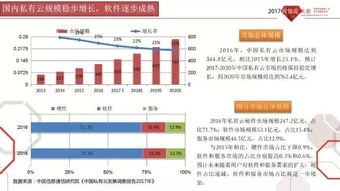 2017年中國(guó)公共云發(fā)展調(diào)查報(bào)告與可信云觀察 基礎(chǔ)軟件服務(wù)分析